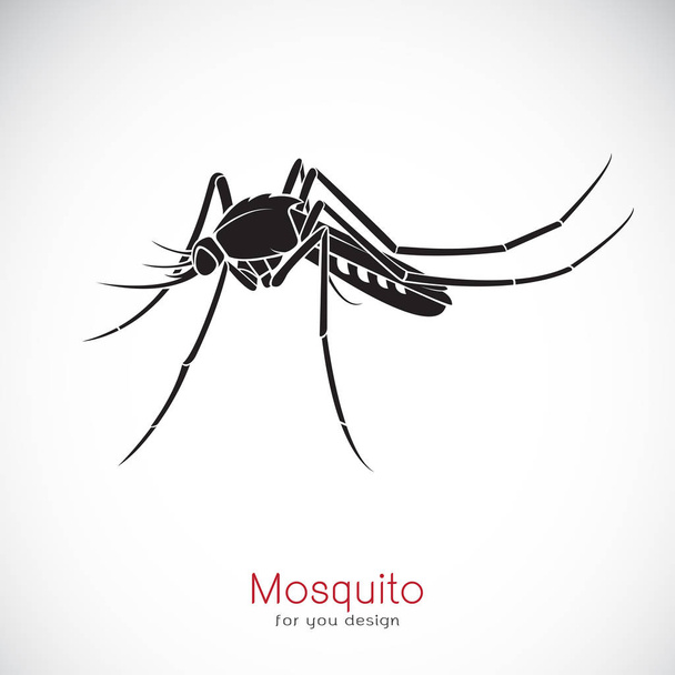Vetor de um design de mosquito sobre fundo branco. Inseto. Animais
. - Vetor, Imagem
