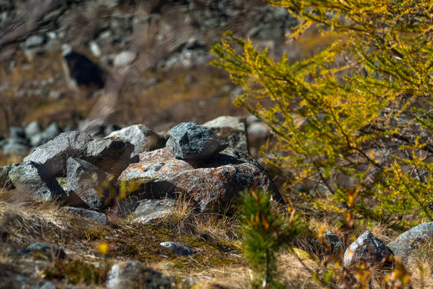 Πέτρες και βράχια με κίτρινο χόρτο - Φωτογραφία, εικόνα