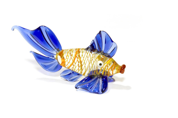 Glass Fish - Photo, Image