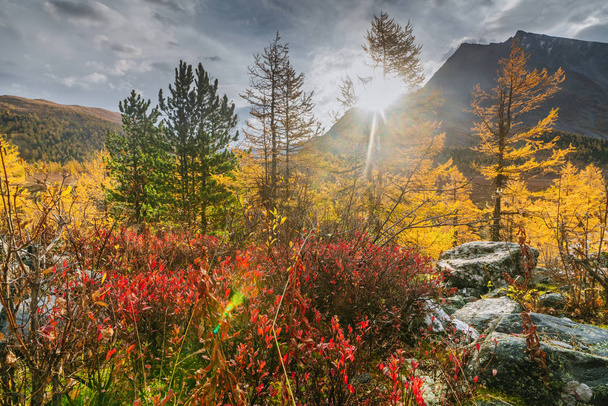 Akkem Valley w parku przyrody gór Ałtaj - Zdjęcie, obraz