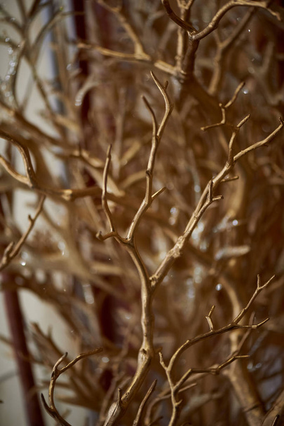 Branches painted with gold paint.The decorative element. Texture abstraction - Fotoğraf, Görsel