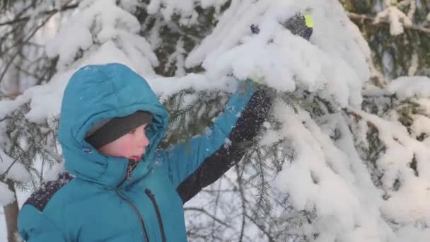Nastolatki spacery w parku zimowym. Resetuje śniegu z drzew. Spacery na świeżym powietrzu. Zdrowy styl życia - Materiał filmowy, wideo