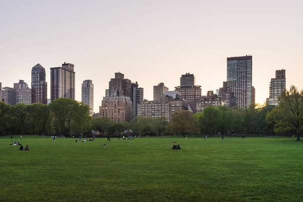 セントラル ・ パークの西のニューヨークのマンハッタンと緑の芝生 - 写真・画像
