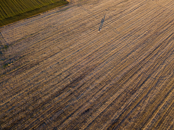 Aerial view of people strolling at sunset, in the middle of a field, walking with dogs. Outdoor life - Photo, Image