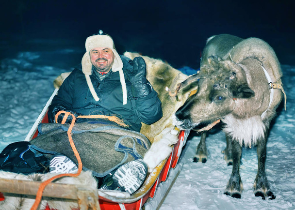 Man in reindeer sleigh at night safari forest Rovaniemi - Photo, Image