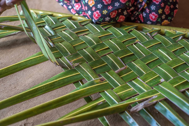 Жіночі руки плетіння зеленого кокосового листя
 - Фото, зображення