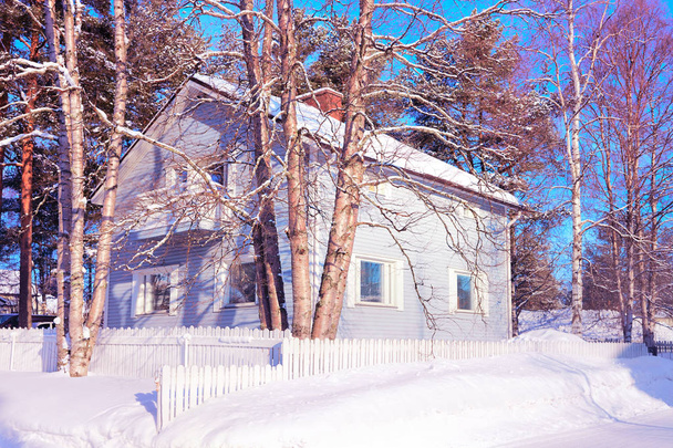 Άνετο εξοχικό σπίτι και δέντρα το χειμώνα: Ροβανιέμι - Φωτογραφία, εικόνα