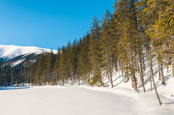 winter in the Tatra Mountains, Koscieliska Valley - Φωτογραφία, εικόνα