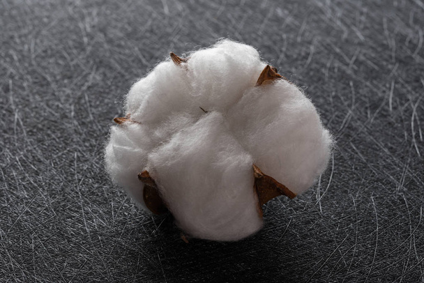 cotton ball on a black background - Photo, Image