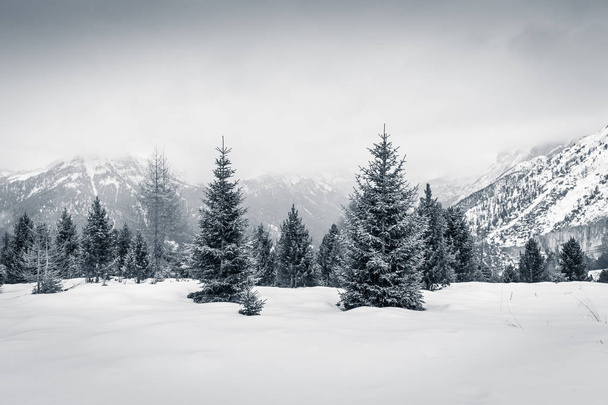 Nastrój zimowych w Val di Fassa w Dolomitach, Włochy - Zdjęcie, obraz