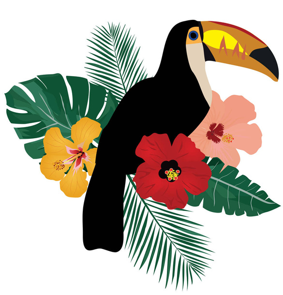 Vector Toucan Bird - Vektör, Görsel