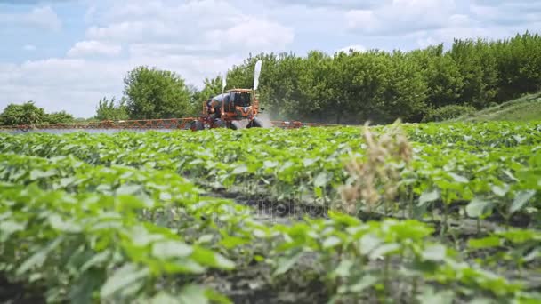 Rolnictwie nawozów pracę na polu. Rozpylania pestycydów. Nawadnianie pól - Materiał filmowy, wideo
