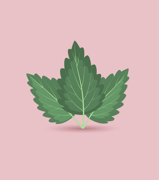 Vector Mint Leaves - Vector, Image
