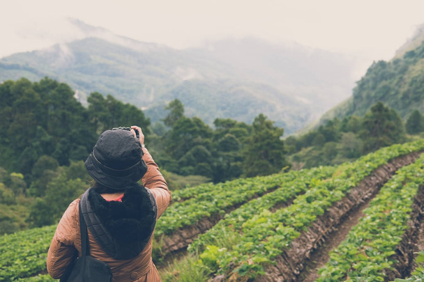 woman use camera to take picture of strawberrry plantation on mo - Photo, Image