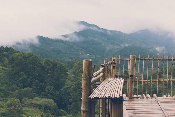 bamboo terrace with view of fog & cloud on mountain in morning.  - 写真・画像