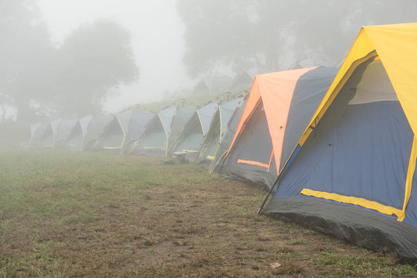 turist çadırda sis ve sis. Ormanda kamp. seyahat, tatil  - Fotoğraf, Görsel