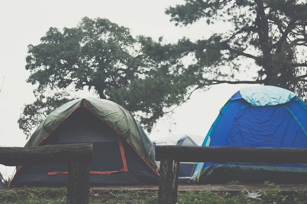 turisti teltta sumu & sumu. retkeilyä metsässä. matkustaminen, loma
  - Valokuva, kuva