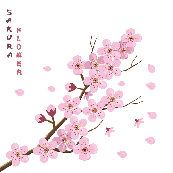 Sakura blossom. Japonský třešňový strom. - Vektor, obrázek