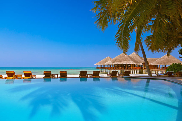 Pool and cafe on Maldives beach - Photo, Image