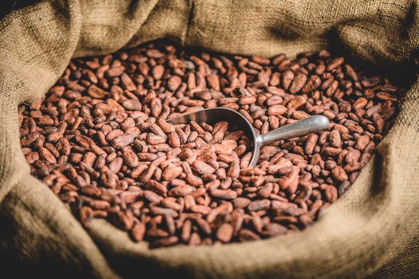 Close-up of Canvas bag with Imported roasted cacao beans - Fotografie, Obrázek