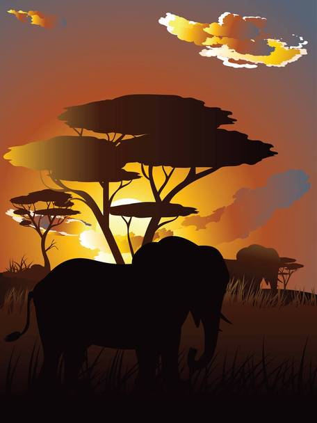 Africký západ slunce s slon - Vektor, obrázek