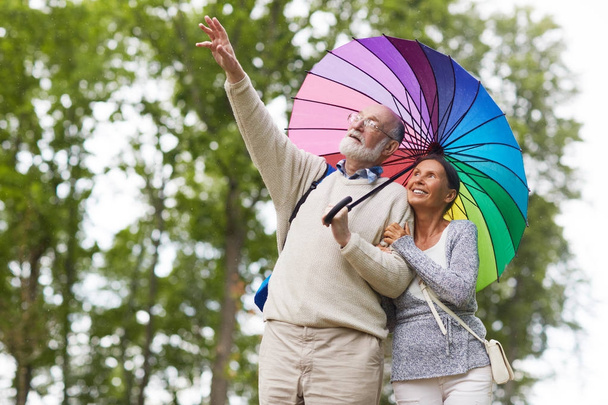 Homme âgé pointant quelque chose de curieux tout en marchant avec sa femme sous parapluie
 - Photo, image