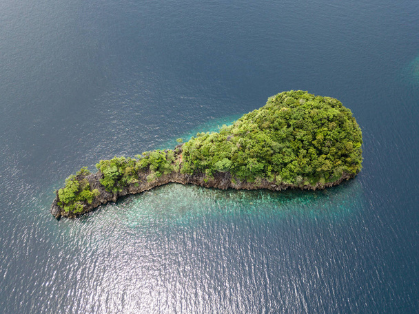 Un'isola calcarea che si trova a Raja Ampat sorge da mari calmi e blu in una zona remota dell'Indonesia orientale. Questa bellissima regione tropicale è nota per la sua straordinaria biodiversità marina
. - Foto, immagini