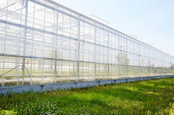 Outdoor view of large glasshouse and green lawn near by - Photo, Image