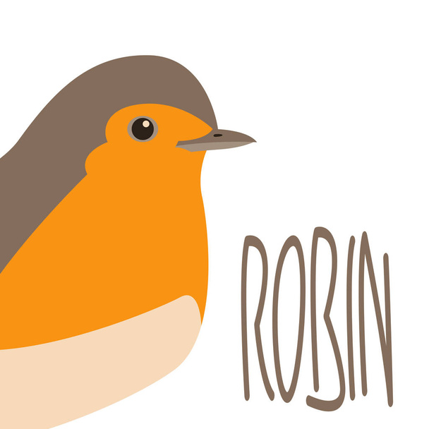 robin song  bird vector illustration flat style  - Vector, Image