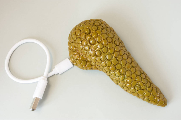 3D shape of pancreas with connected by charging cord, cable or for connecting with other devices. Concept of  technology bionic or artificial organ of pancreas for treatment diabetes or other diseases - Photo, Image