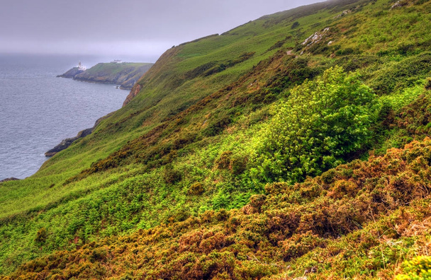 die howth cliff walk außerhalb Dublins, irland. - Foto, Bild