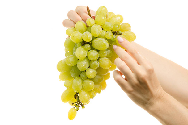 Grapes in a female hands - Foto, Imagen