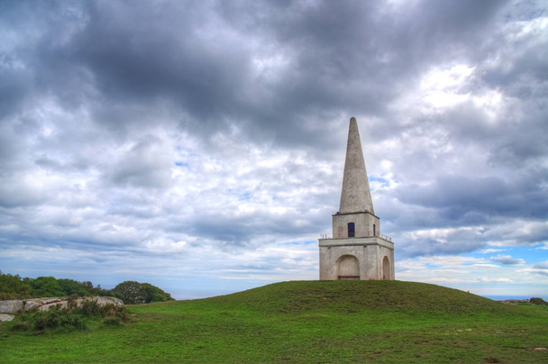 Pohled z Killiney Hill Obelisk v Dublinu, Irsko.  - Fotografie, Obrázek