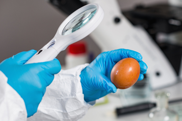 Quality control expert inspecting at egg in the laboratory - Φωτογραφία, εικόνα
