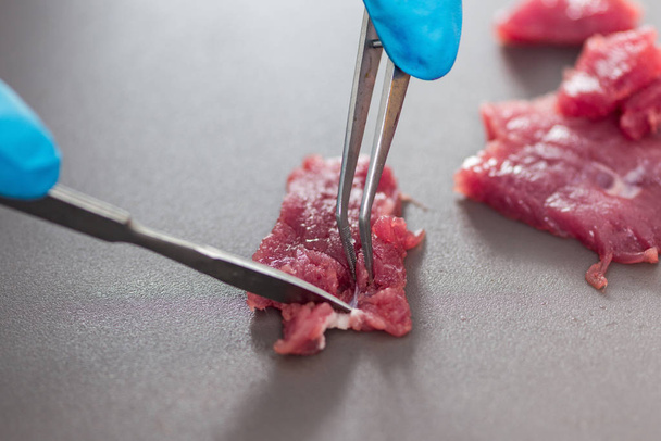 Expert en contrôle de la qualité inspectant la viande en laboratoire
 - Photo, image