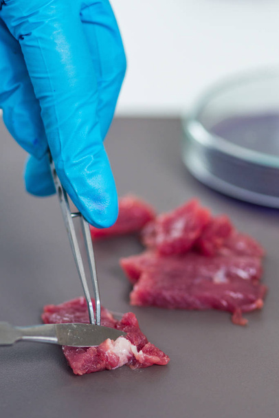 Quality control expert inspecting at meat  in the laboratory - Photo, Image