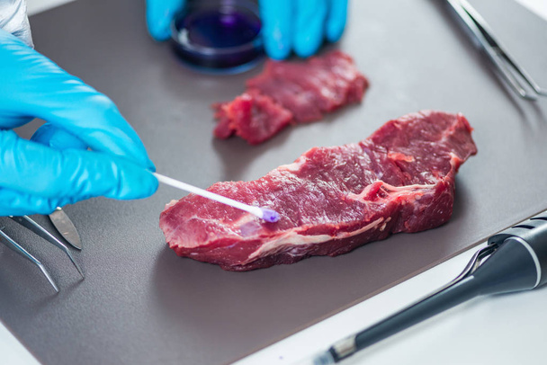 Experto en control de calidad que inspecciona la carne en el laboratorio
 - Foto, imagen