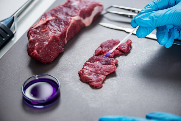 Experto en control de calidad que inspecciona la carne en el laboratorio
 - Foto, Imagen