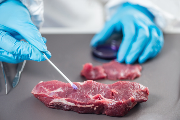 Perito em controlo de qualidade a inspeccionar a carne no laboratório
 - Foto, Imagem