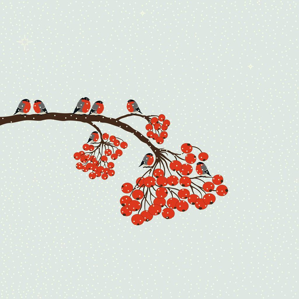 Greeting card with bullfinch and rowan branch - Вектор,изображение