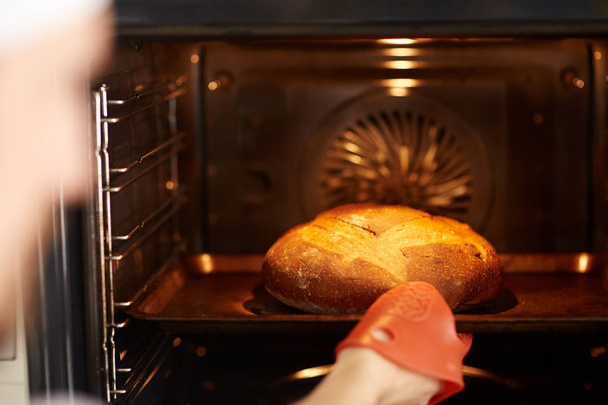 frisch gebackenes Krustenbrot wird aus dem Ofen geholt - Foto, Bild