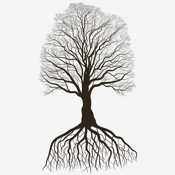 Δέντρο σιλουέτα με ριζικό σύστημα. Μαύρο περίγραμμα γυμνό ξύλο βελανιδιάς. Λεπτομερή εικόνα. Διάνυσμα - Διάνυσμα, εικόνα