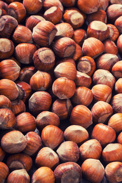 Group of hazelnuts texture - Foto, imagen