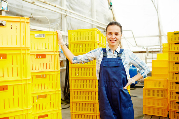 Vendedor de alimentos ecológicos apoyado en la pila de cajas de plástico en invernadero
 - Foto, Imagen