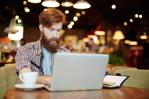 schöner junger Händler, der den Finanzmarkt per Laptop analysiert, während er in einem gemütlichen Kaffeehaus sitzt, mit hochgekrempeltem Porträt - Foto, Bild