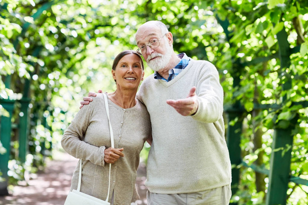 Muž a žena chůze po lipové aleje v objetí v důchodu - Fotografie, Obrázek