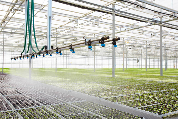 Interiér moderní skleník s pokročilý systém zavlažování a rostlinolékařské péče - Fotografie, Obrázek