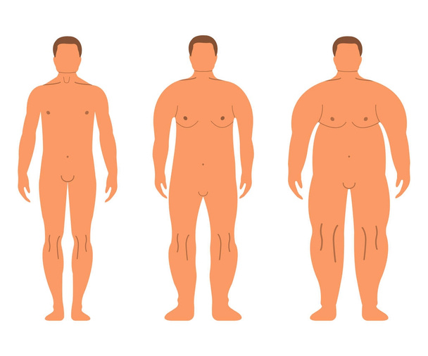 Mujeres y hombres europeos gordos. Estilo de dibujos animados. Silueta frontal humana. Aislado sobre fondo blanco. Ilustración vectorial
 - Vector, Imagen