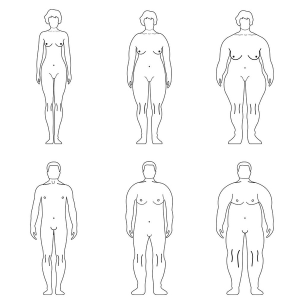 脂肪のヨーロッパ人アウトライン スタイル。人間のフロント サイド シルエット。白い背景上に分離。ベクトル図 - ベクター画像