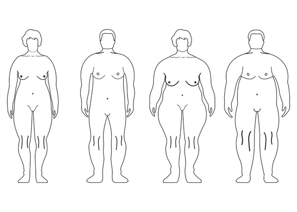 Λίπος γυναίκες και Man. περίγραμμα στυλ. Μπροστινή πλευρά ανθρώπινη σιλουέτα. Απομονωμένα σε λευκό φόντο. Εικονογράφηση διάνυσμα - Διάνυσμα, εικόνα